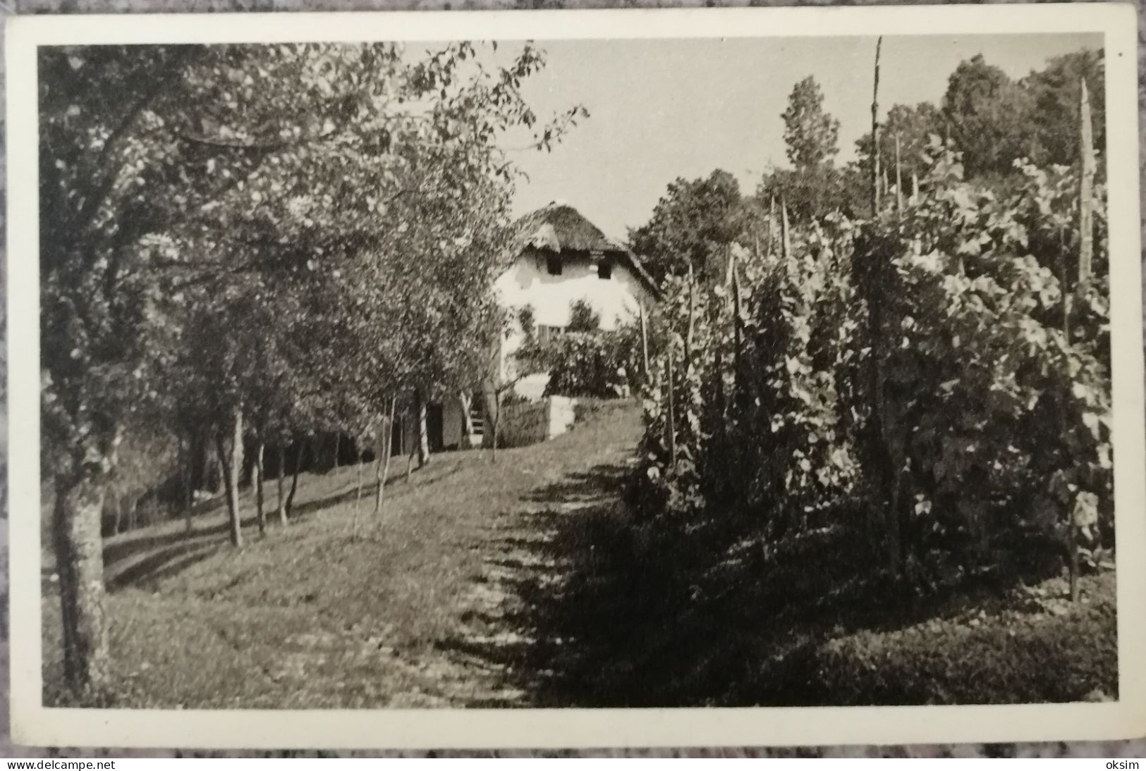 ŽDINJA VAS, HMELJNIK - Slovénie