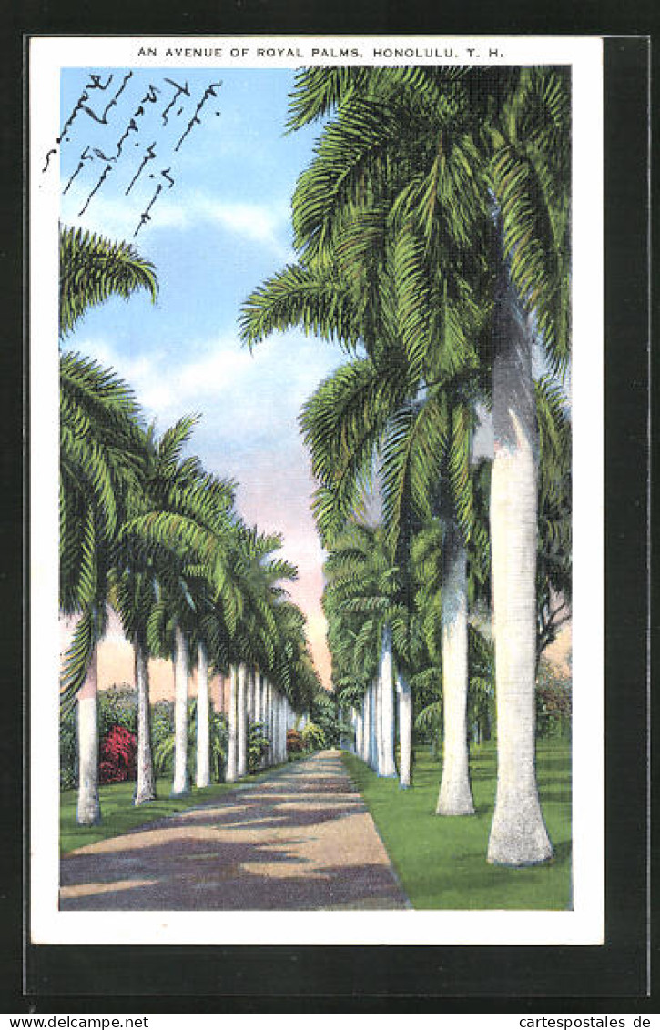 AK Honolulu, HI, An Avenue Of Royal Palms  - Honolulu