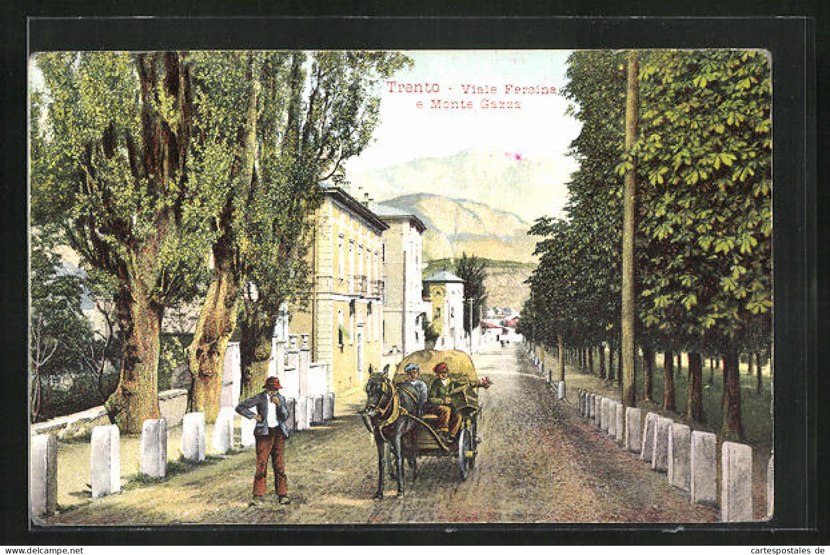 Cartolina Trento, Viale Fersina E Monte Gazza  - Trento