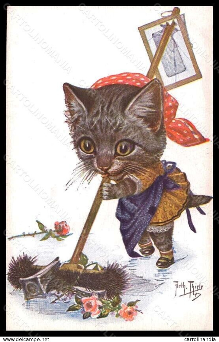 Artist Signed Illustratori A. Thiele Dressed Cat TSN Serie 1892 Postcard VK6644 - Sonstige & Ohne Zuordnung