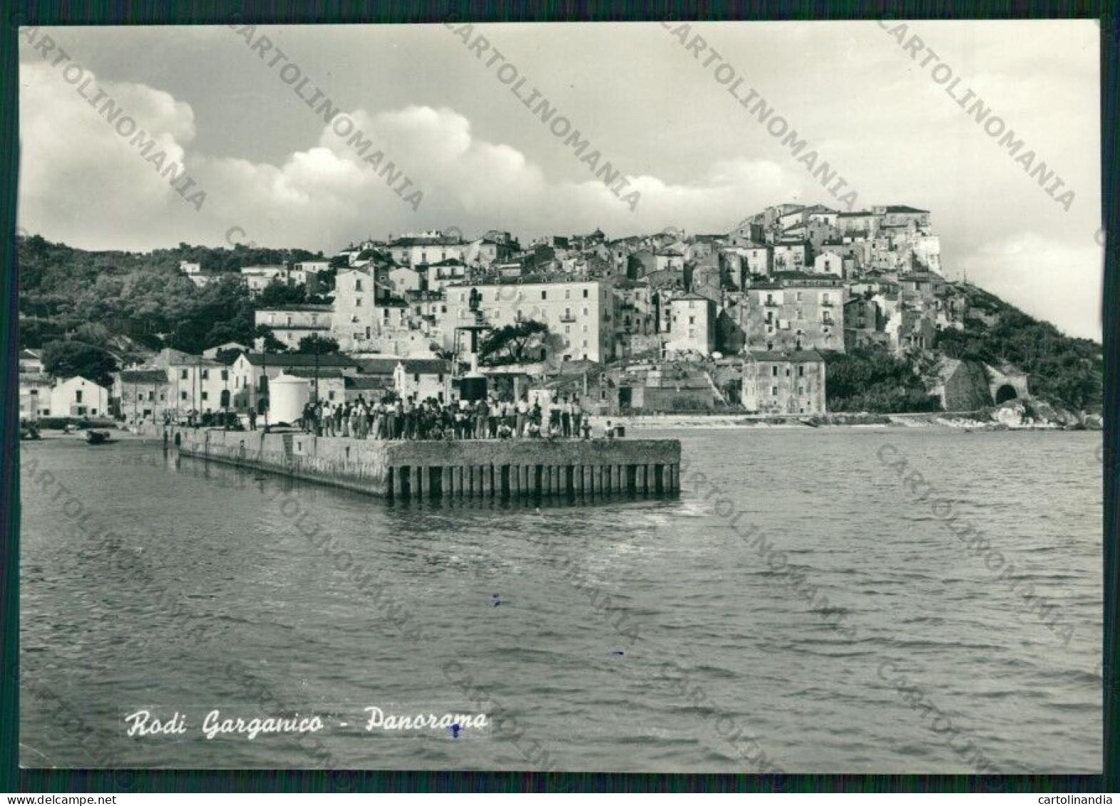 Foggia Rodi Garganico Foto FG Cartolina ZK1944 - Foggia