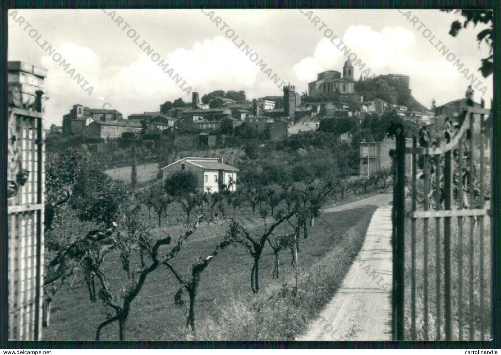 Ascoli Piceno Fermo Santa Vittoria In Matenano Foto FG Cartolina ZK2053 - Ascoli Piceno