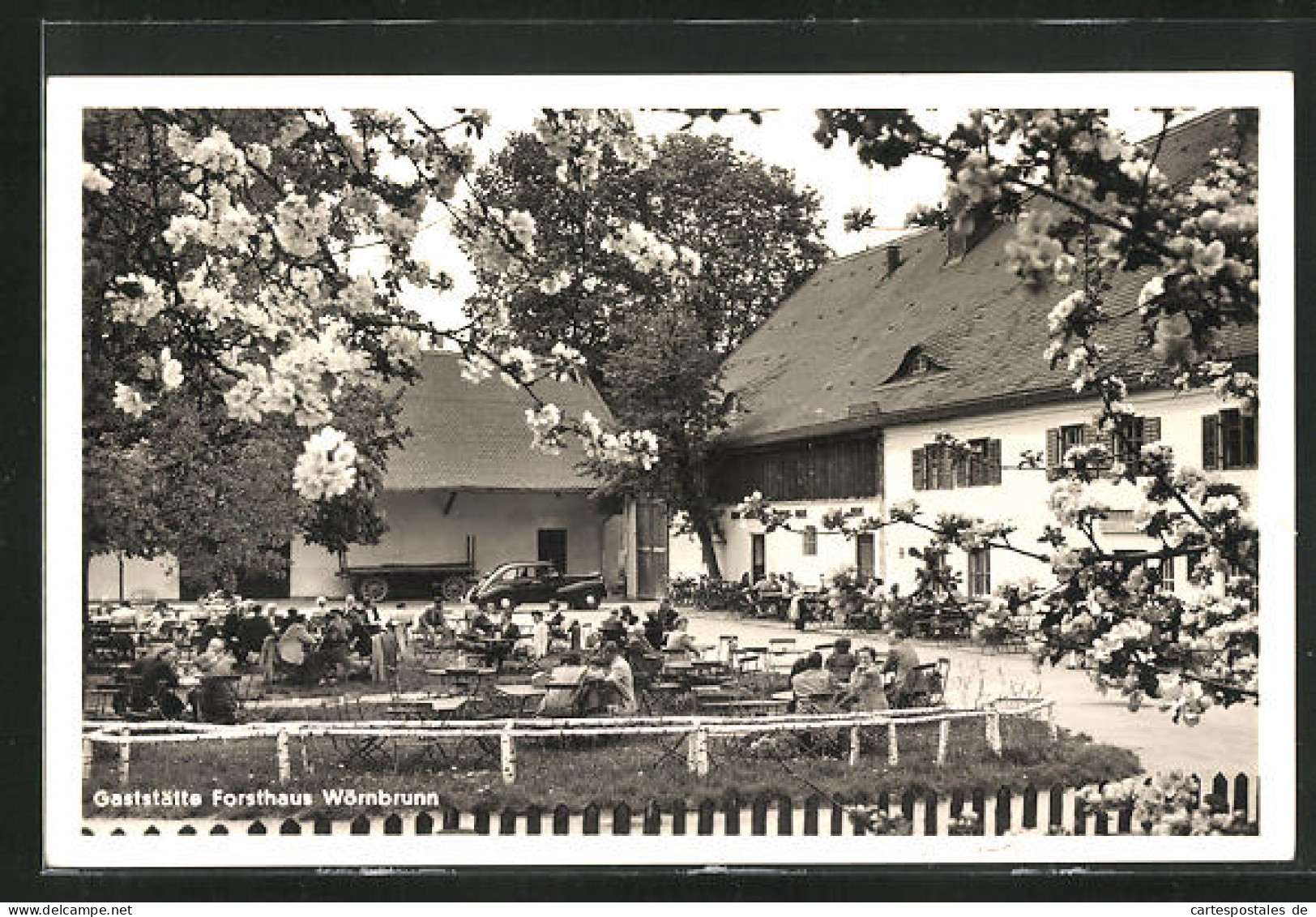 AK Grünwald, Gasthaus Forsthaus Wörnbrunn  - Chasse