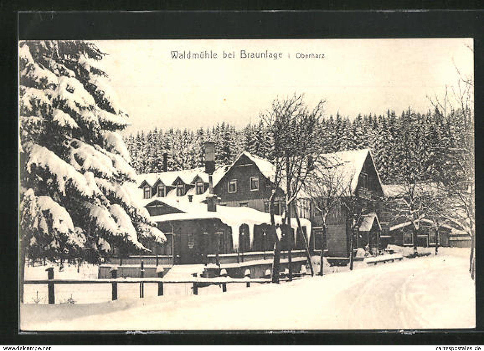 AK Braunlage / Oberharz, Gasthaus Waldmühle Im Winterglanz  - Oberharz