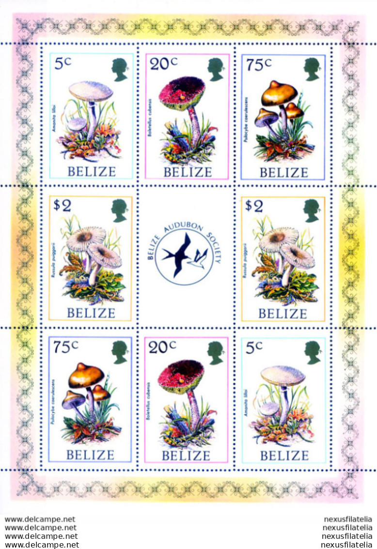 Flora. Funghi 1986. - Belice (1973-...)