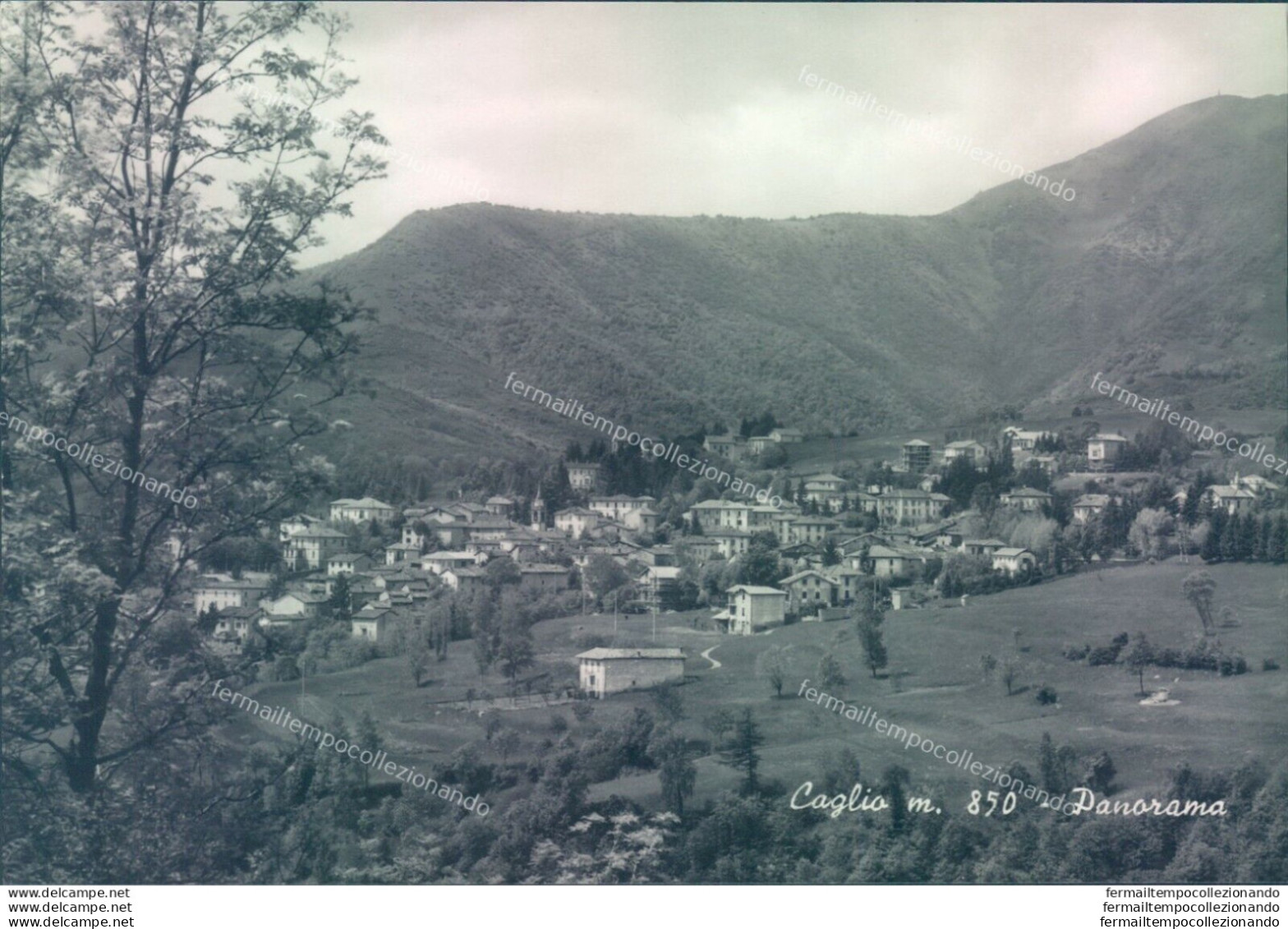 E535 - Cartolina  Provincia Di Como - Caglio - Panorama - Como