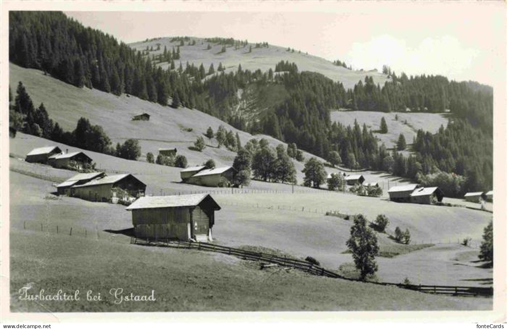 13971861 Gstaad_Saanen_BE Panorama Turbachtal - Sonstige & Ohne Zuordnung