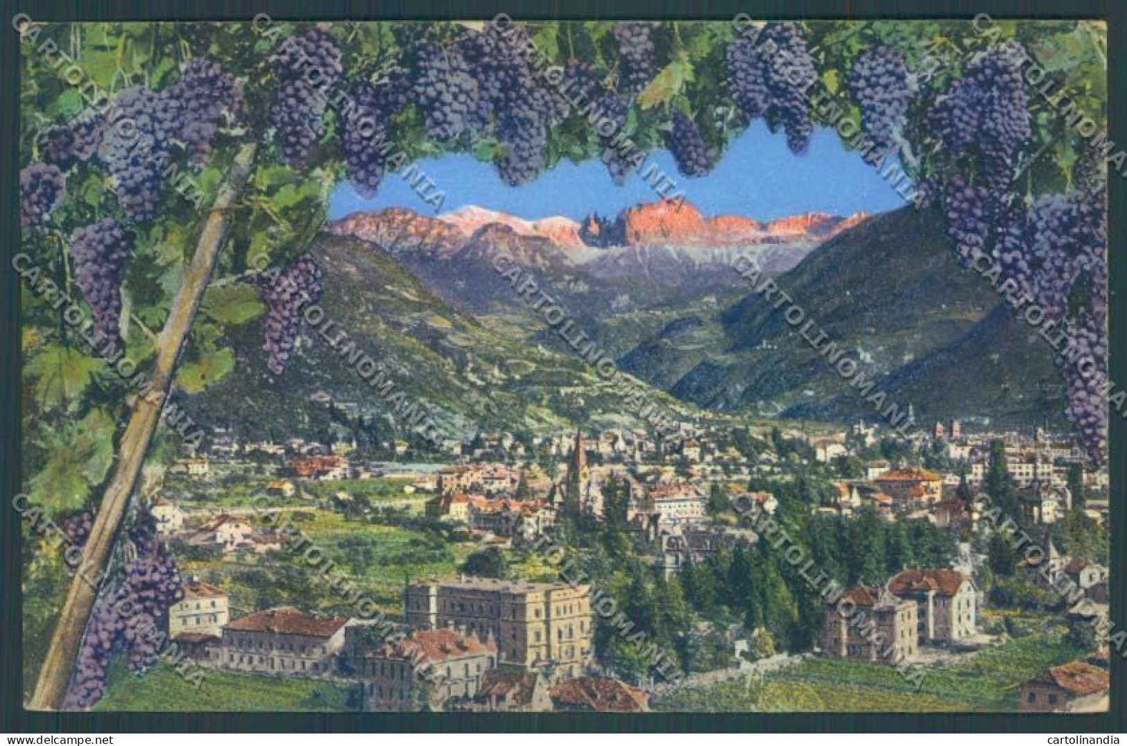 Bolzano Città Cartolina ZT8549 - Bolzano