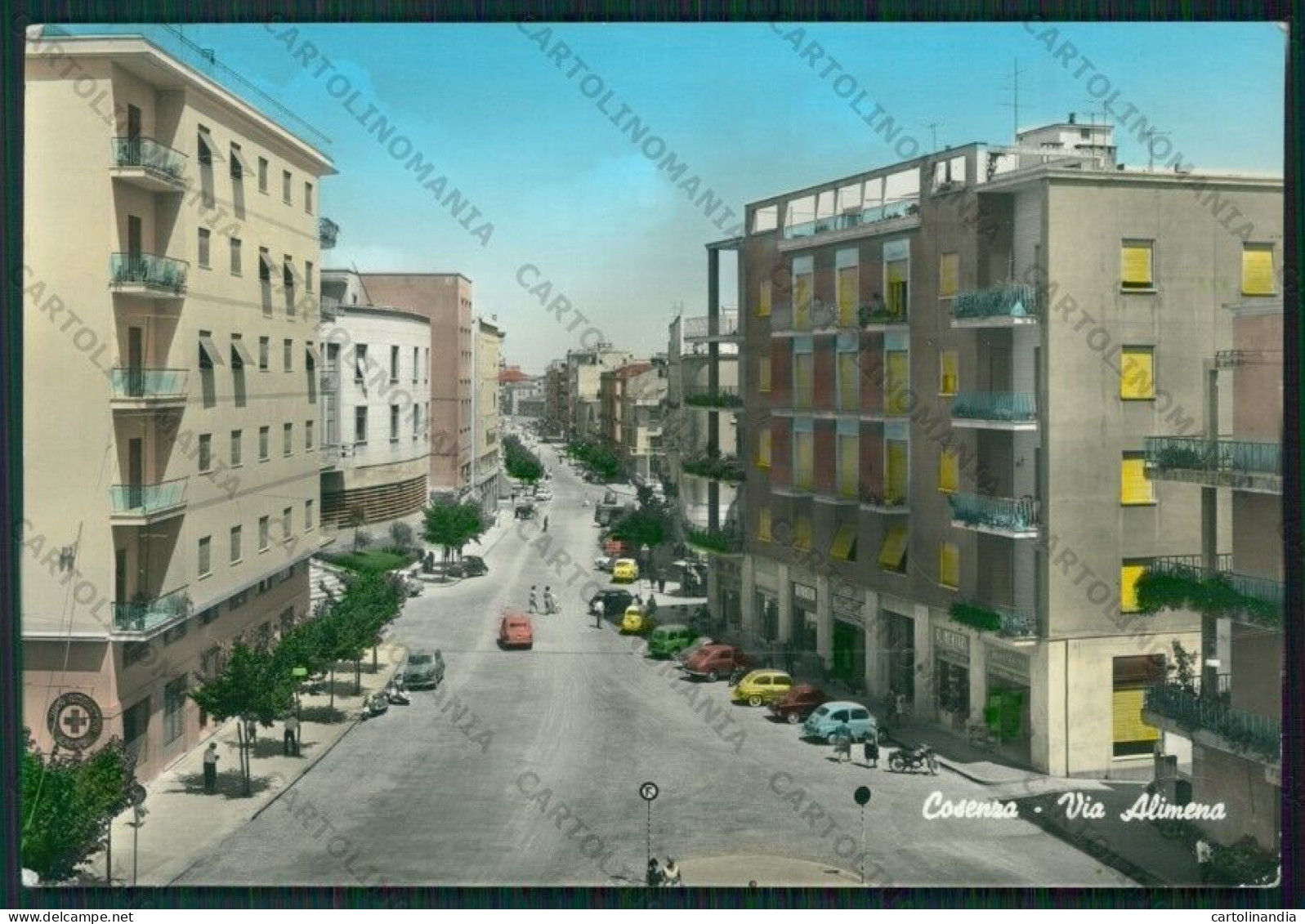 Cosenza Città Foto FG Cartolina ZK1708 - Cosenza