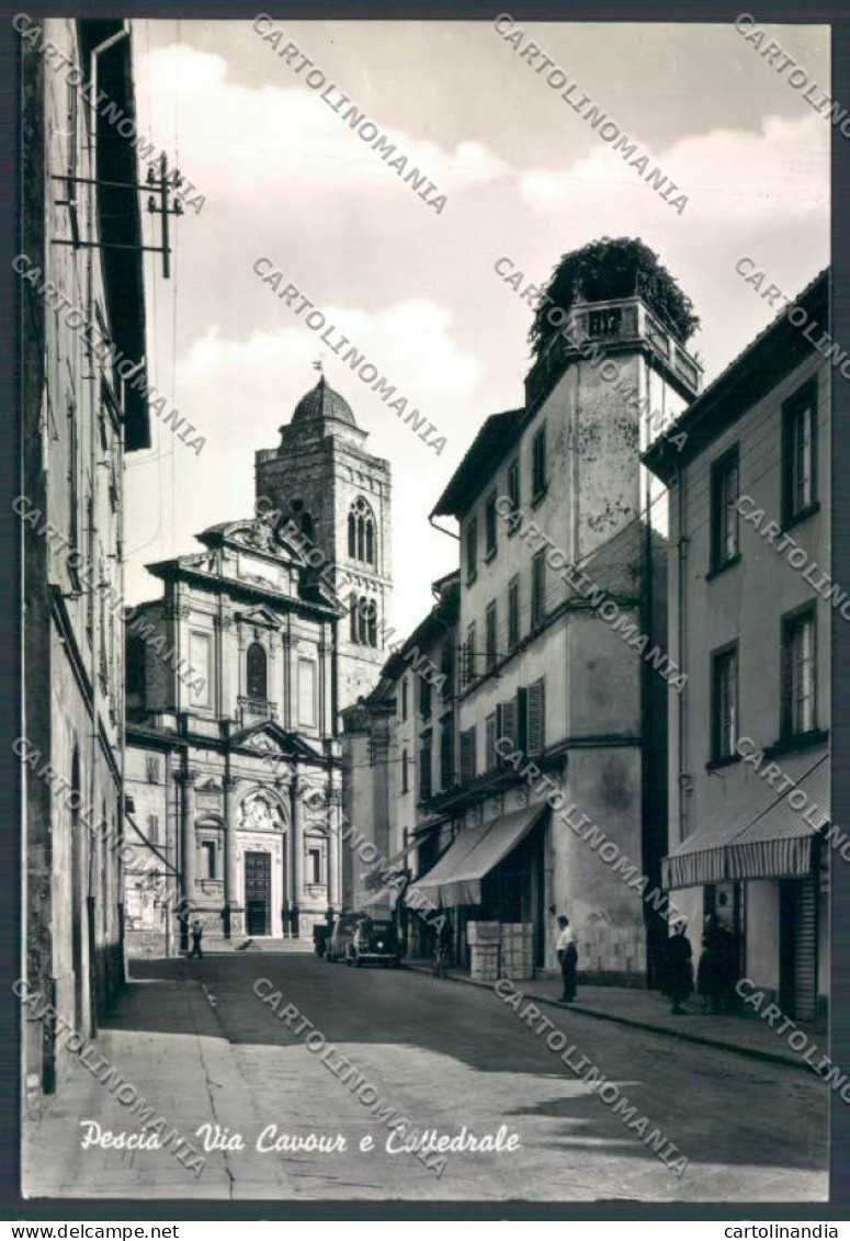 Pistoia Pescia Foto FG Cartolina ZF4569 - Pistoia