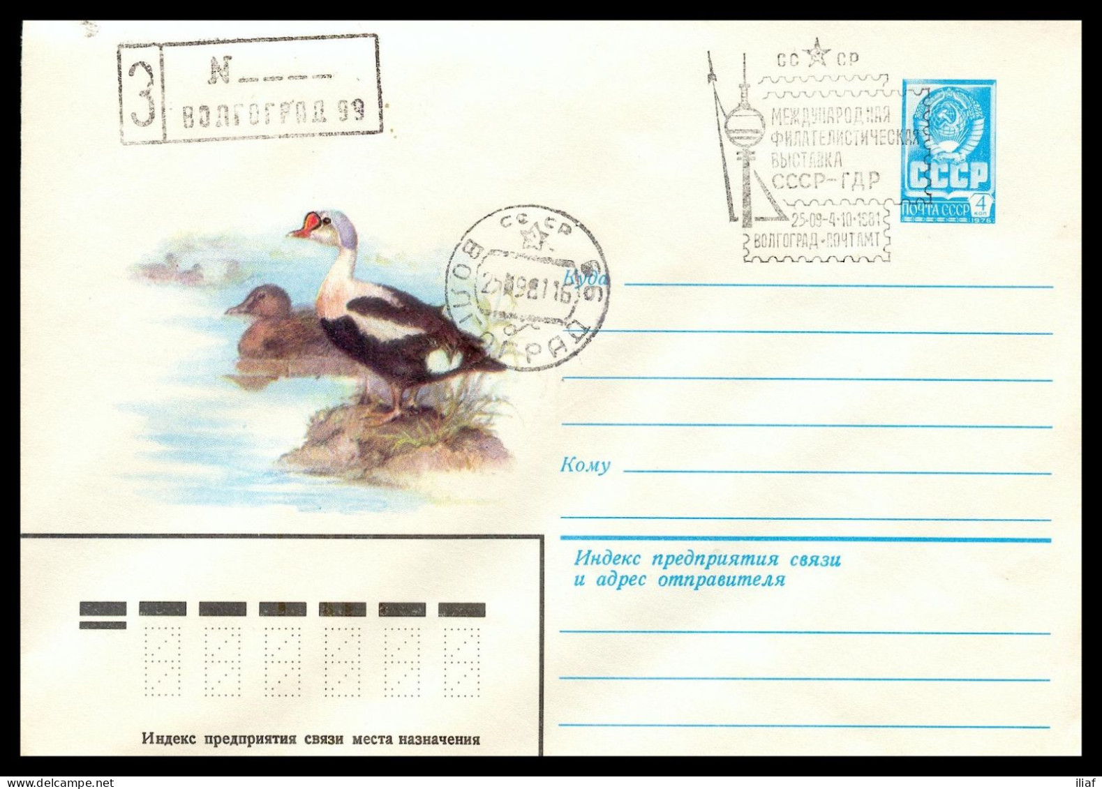RUSSIA & USSR International Philatelic Exhibition “USSR-GDR” Volgograd-81 Illustrated Envelope With Special Cancellation - Briefmarkenausstellungen