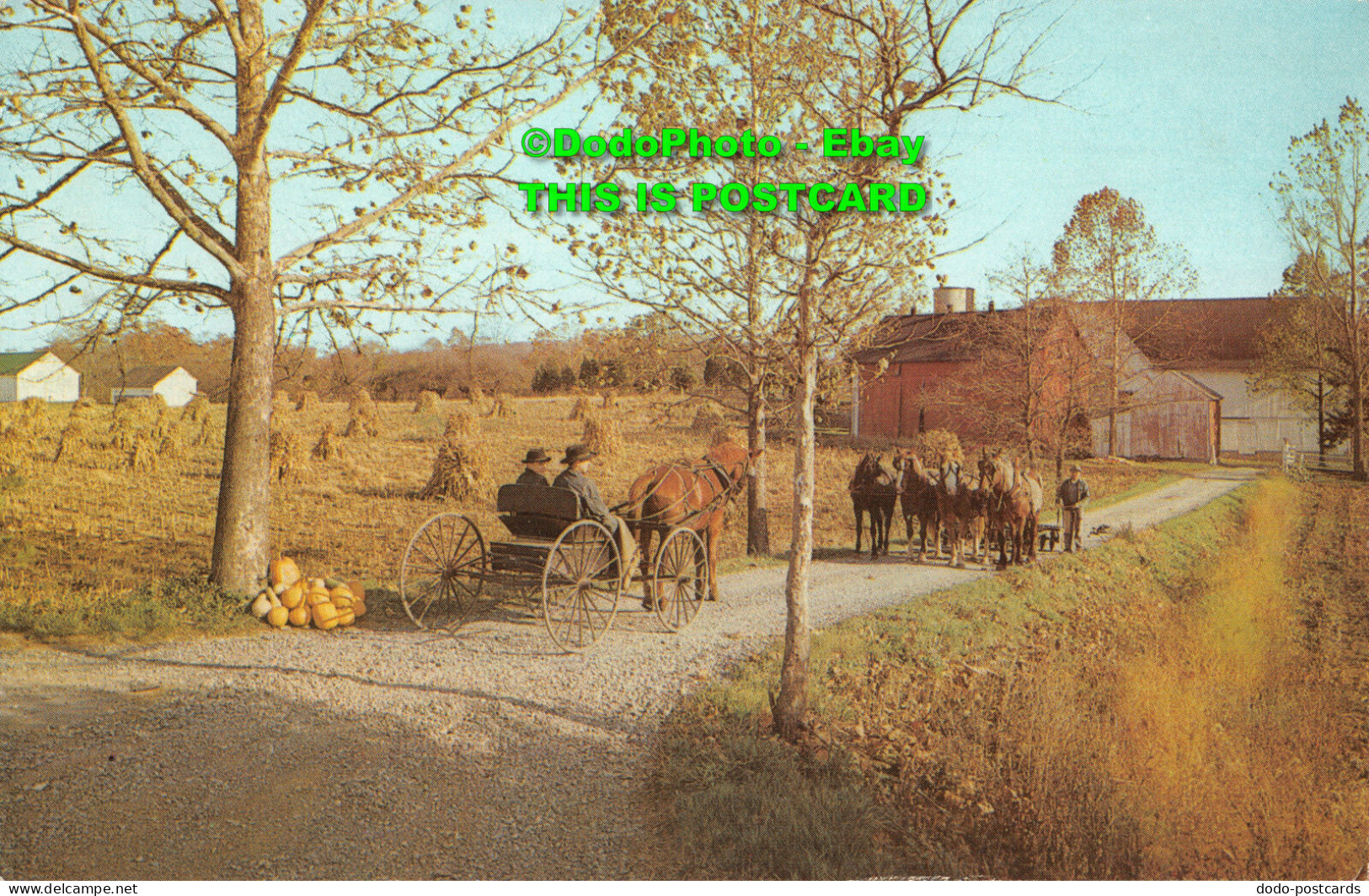 R410480 Heart Of Dutchland. Horse N Buggy Country. 1968. Melvin J. Horse. Witmer - Monde