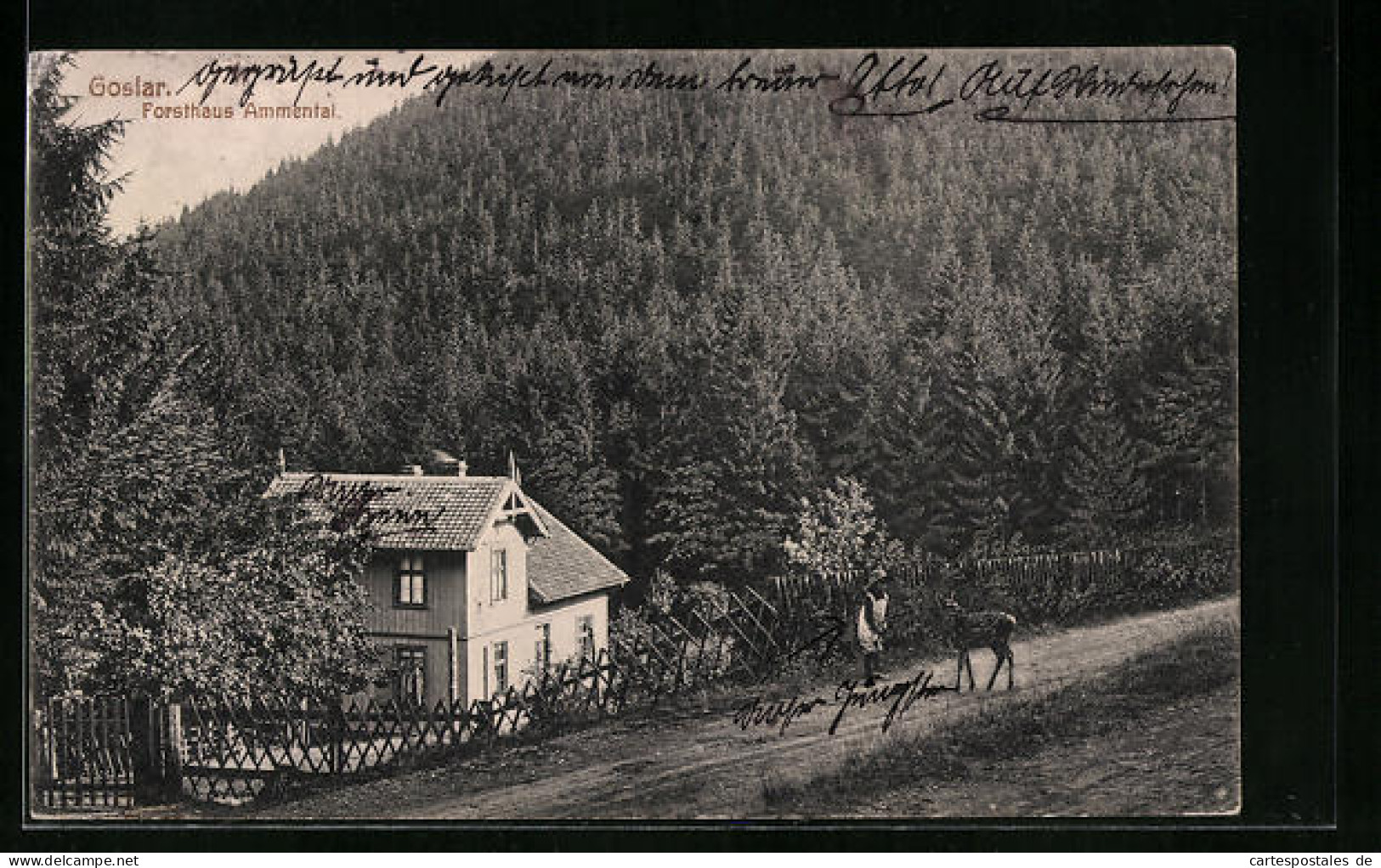 AK Goslar, Forsthaus Ammental  - Chasse