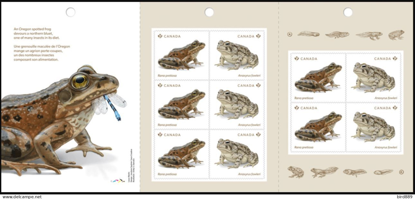 2024 Canada Fauna Endangered Frogs Full Booklet Of 10 MNH - Ganze Markenheftchen