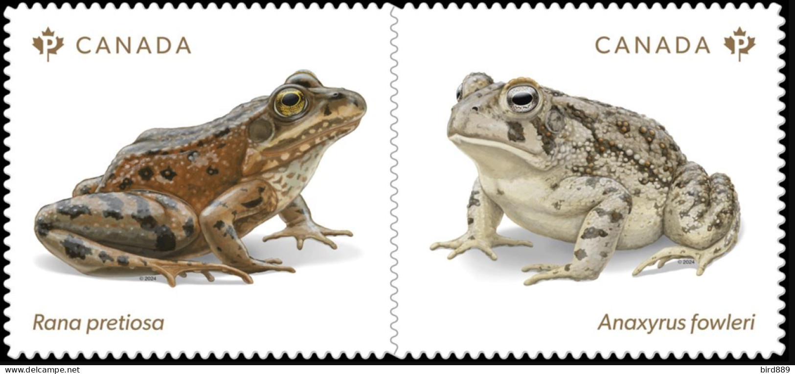 2024 Canada Fauna Endangered Frogs Pair From Booklet MNH - Single Stamps