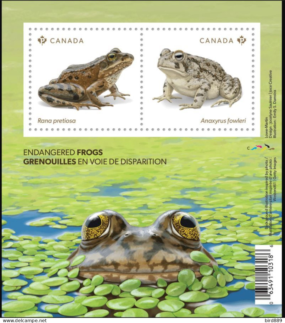 2024 Canada Fauna Endangered Frogs Mini Sheet Of 2 MNH - Neufs