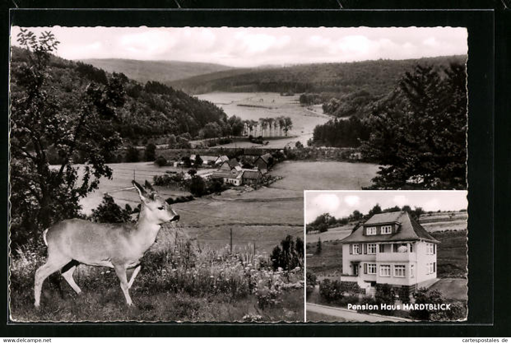 AK Weidenhausen /Gladenbach, Christliches Erholungsheim Haus Hardtblick  - Otros & Sin Clasificación