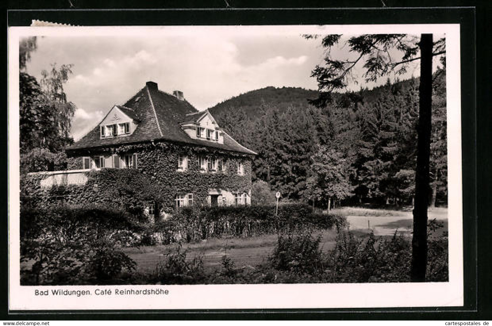 AK Bad Wildungen, Strassenansicht Vom Café Reinhardshöhe  - Bad Wildungen