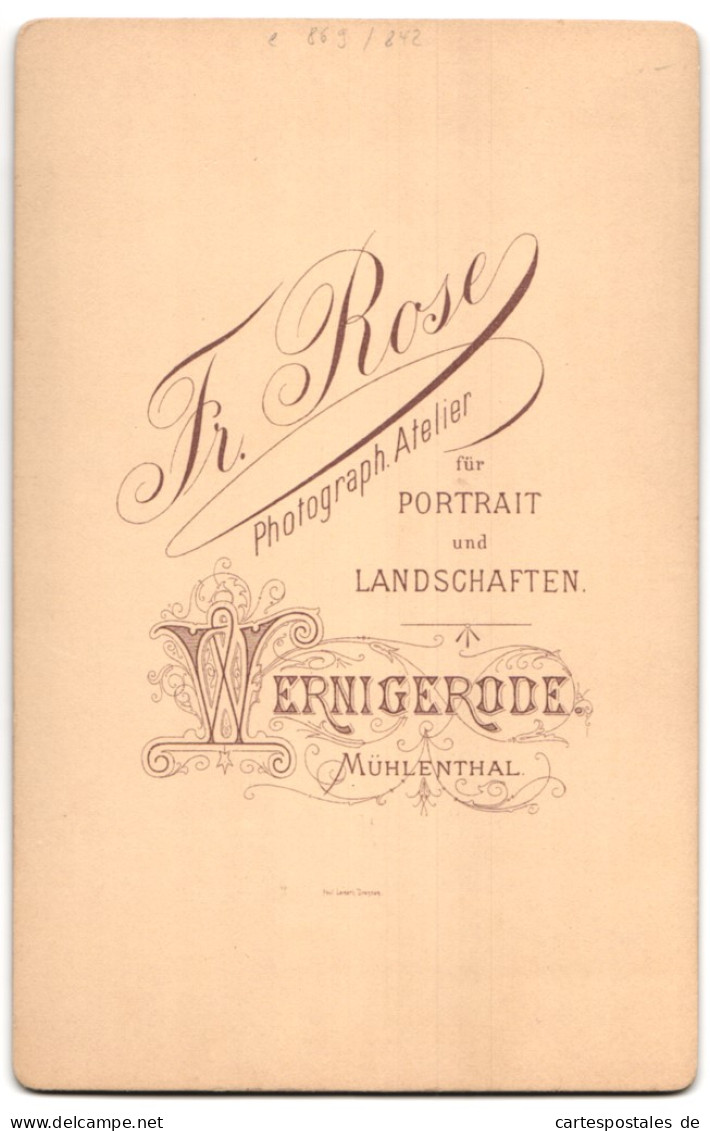 Fotografie Fr. Rose, Wernigerode, Ansicht Wernigerode, Blick Auf Die Steinerne Renne  - Lugares
