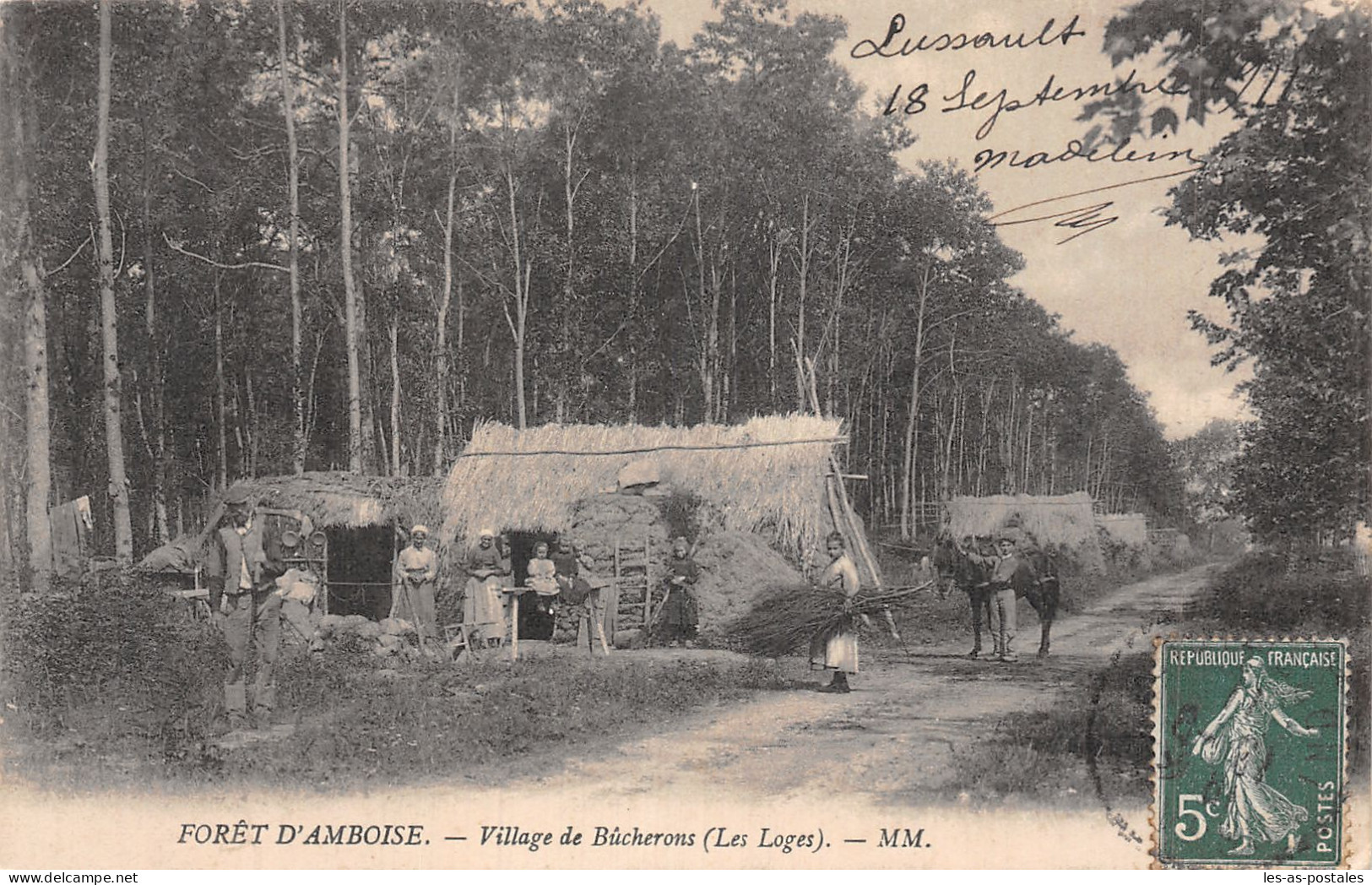 37 AMBOISE LA FORET - Amboise