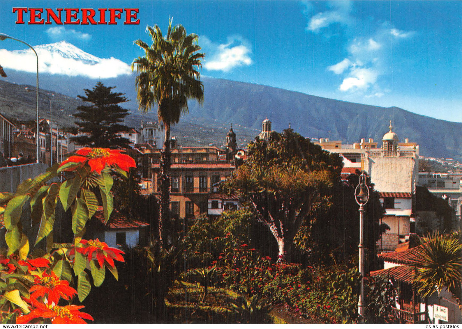 Espagne TENERIFE CANARIAS LA OROTAVA - Tenerife