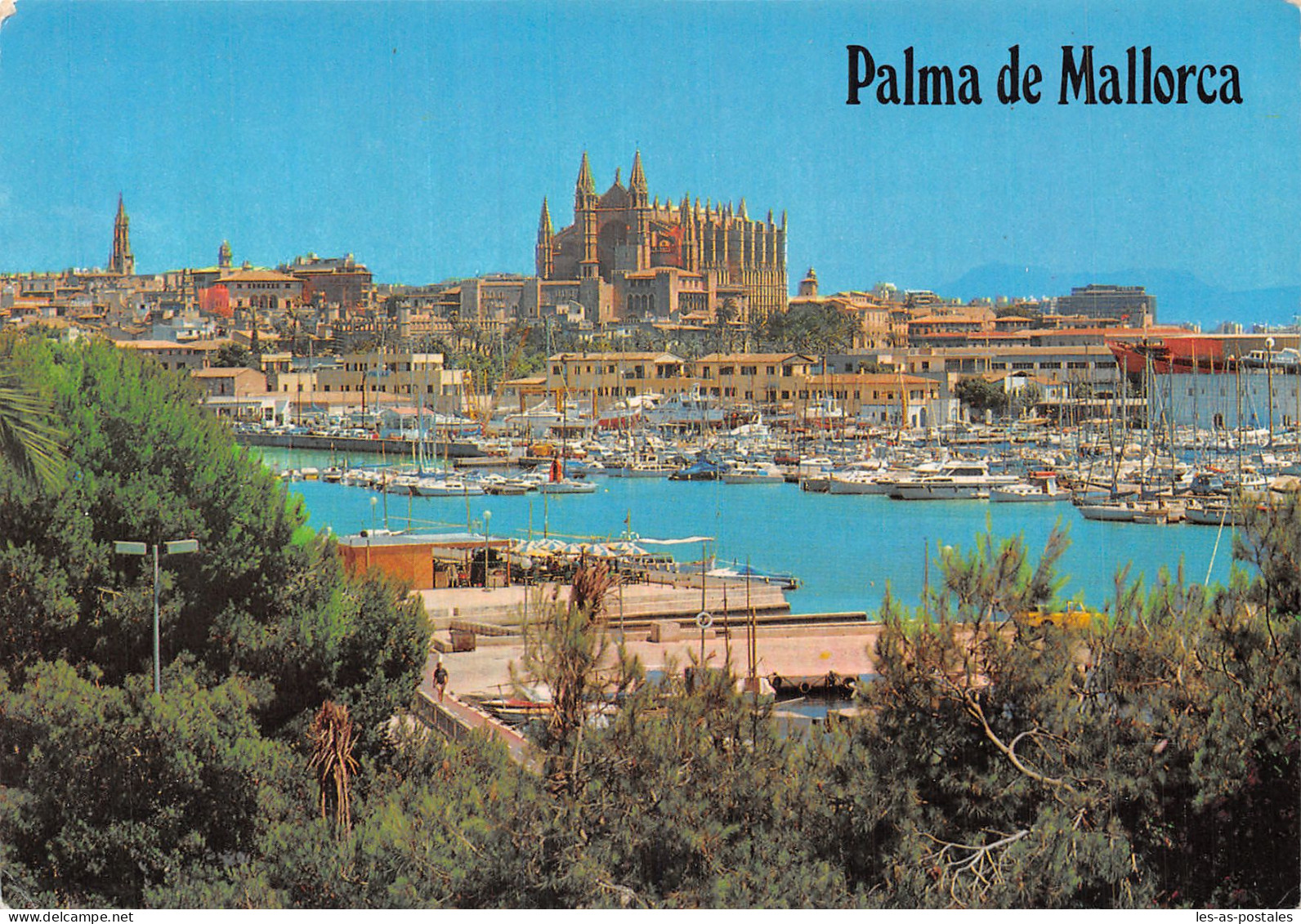 Espagne PALMA DE MALLORCA - Palma De Mallorca