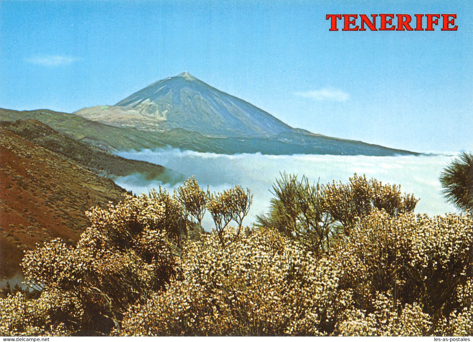 Espagne MAR DE NUBES TENERIFE - Tenerife