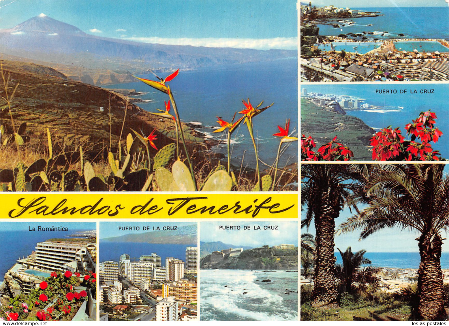 Espagne TENERIFE - Tenerife