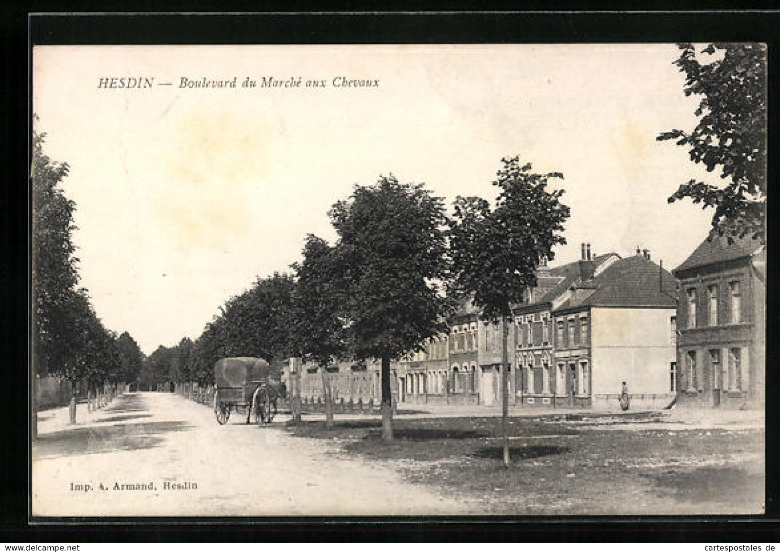 CPA Hesdin, Boulevard Du Marché Aux Chevaux  - Hesdin