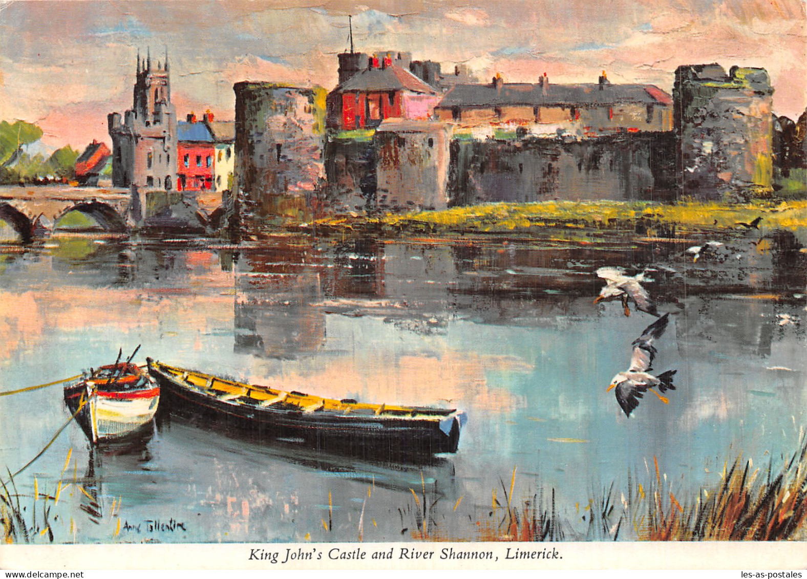 IRLAND LIMERICK RIVER SHANNON - Limerick