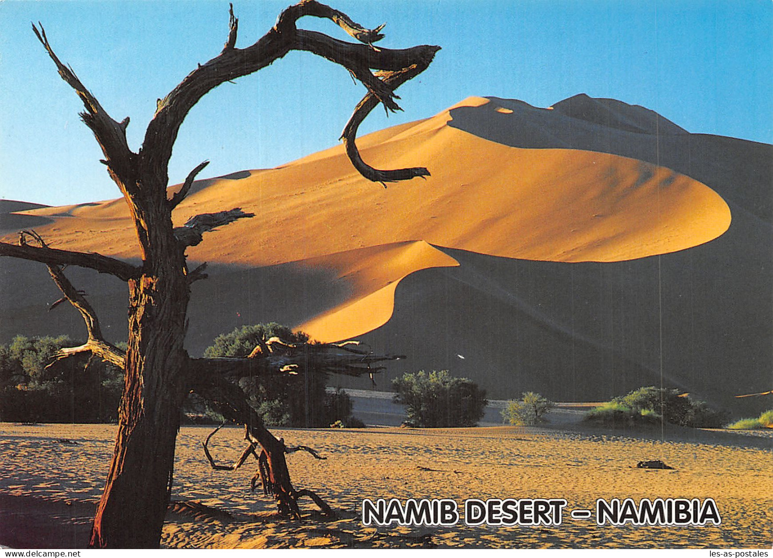 NAMBIA - Namibie