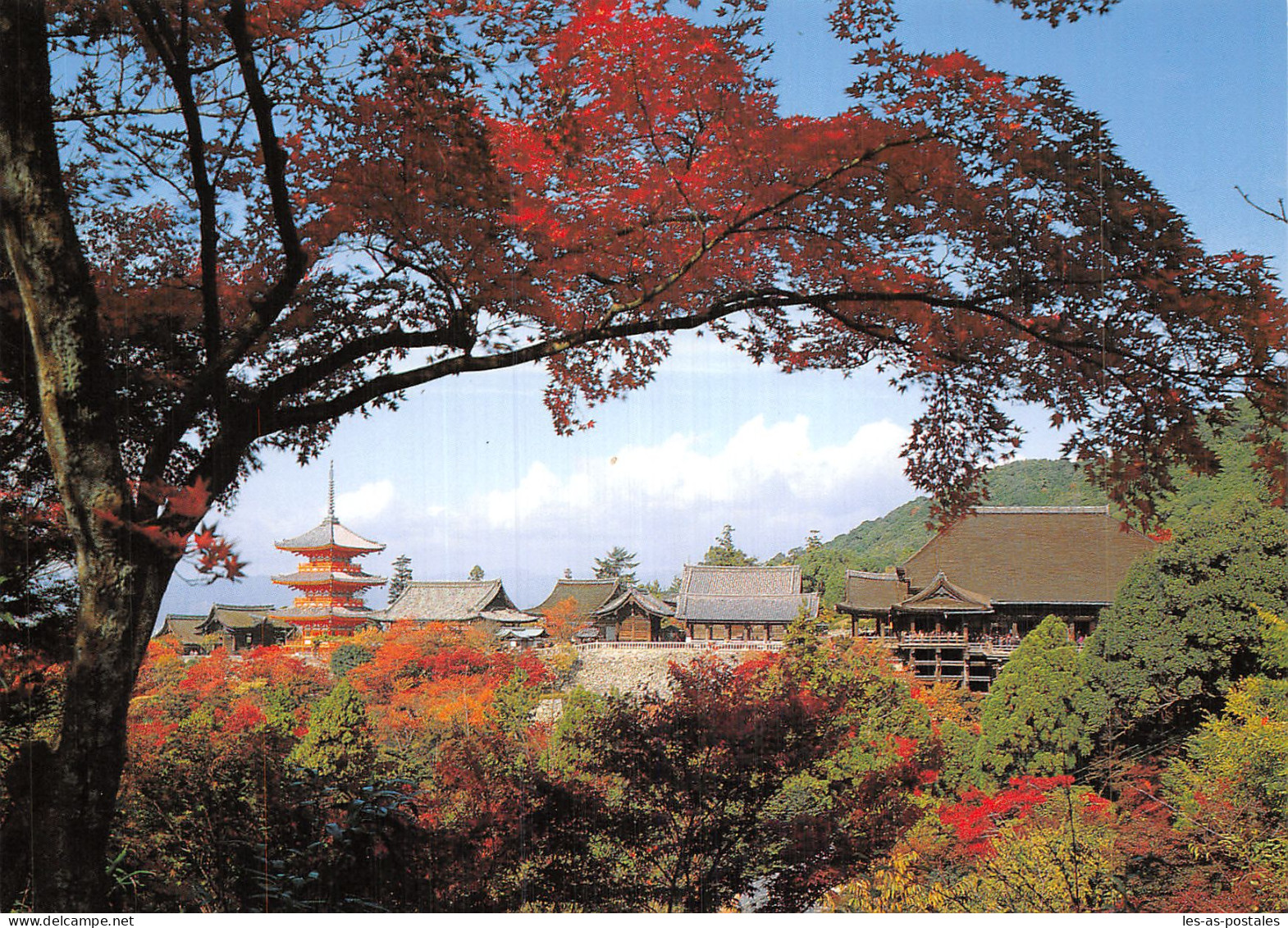 JAPON KYOTO TEMPLE - Kyoto