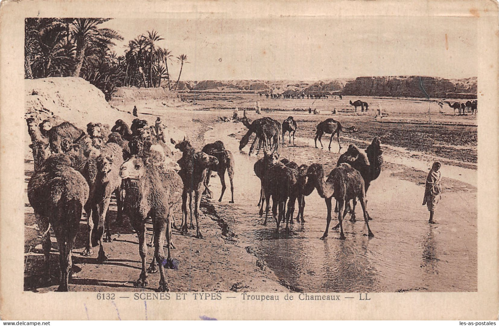 ALGERIE SCENES ET TYPES CHAMEAUX - Scenes