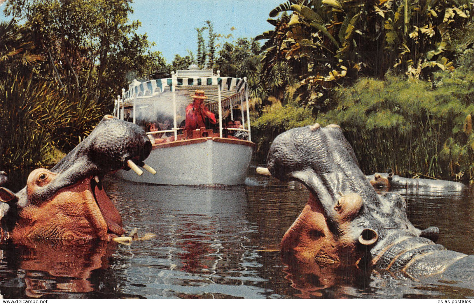 USA FL JUNGLE CRUISE - Other & Unclassified