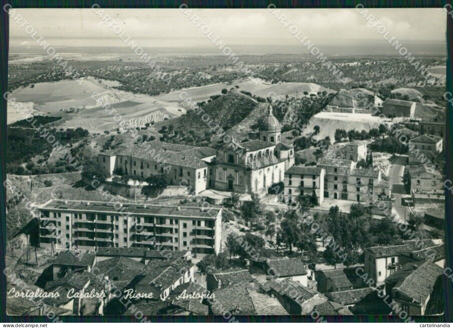 Cosenza Corigliano Calabro Foto FG Cartolina ZKM7565 - Cosenza