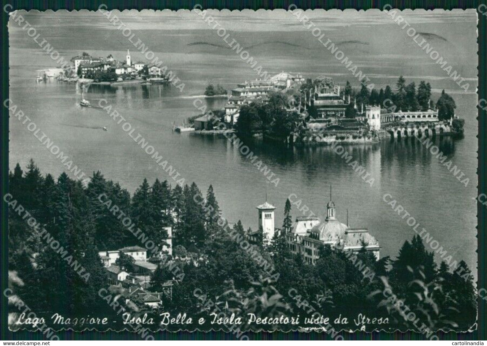 Verbania Stresa Isola Bella E Isola Pescatori FG Foto Cartolina KB5089 - Verbania