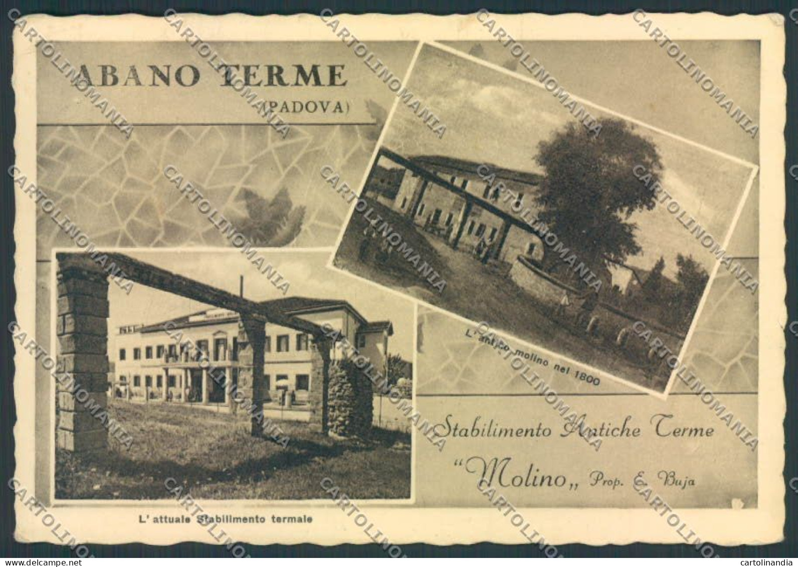 Padova Abano Terme FG Cartolina ZF1695 - Padova (Padua)