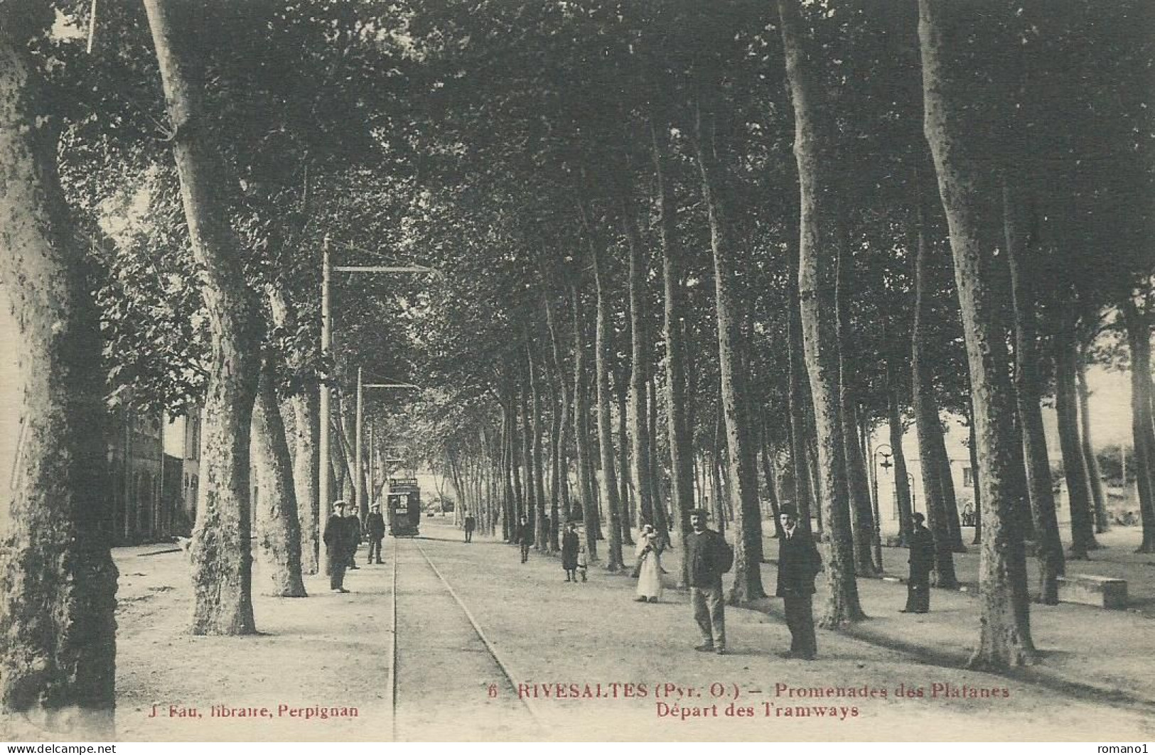 66)  RIVESALTES     -  Promenade Des Platanes  -  Départ Des Tramways - Rivesaltes