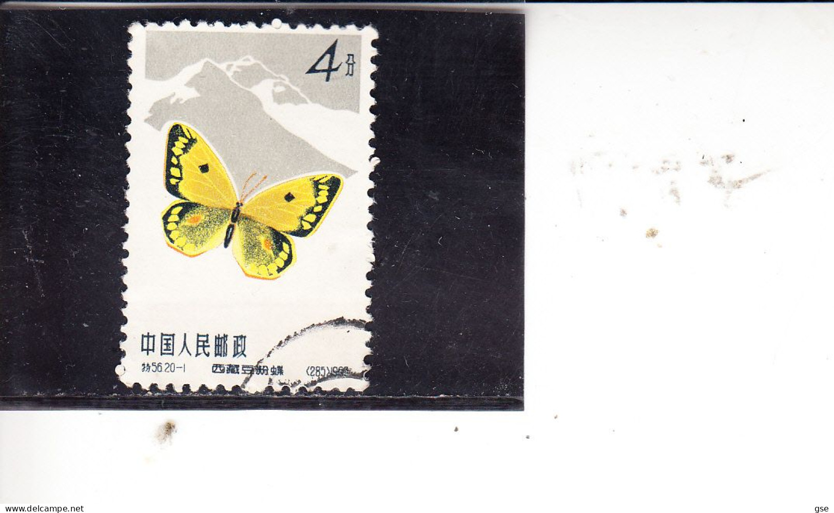 CINA  1963 - Farfalla - Gebruikt