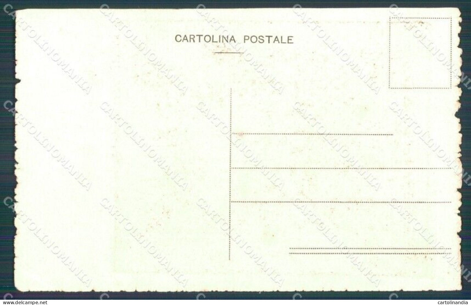 Militari Cavalleria Trofei Delle Armi PIEGHINA Cartolina XF2933 - Régiments