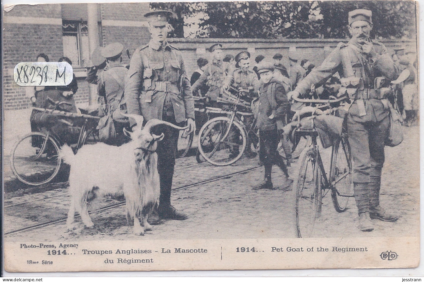 MILITARIA- 1914- TROUPES ANGLAISES- LA MASCOTTE DU REGIMENT- ELD - Oorlog 1914-18