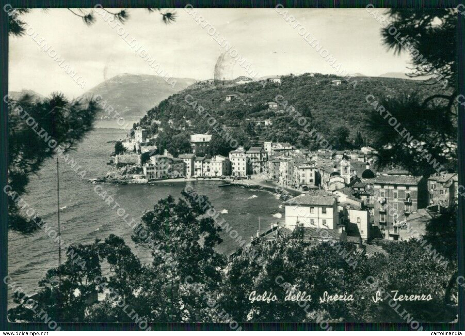 La Spezia San Terenzo FG Foto Cartolina KB5109 - La Spezia