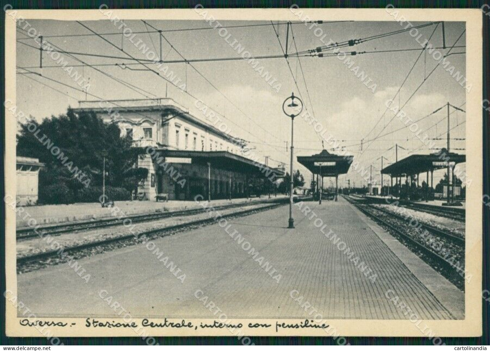 Caserta Aversa Stazione MACCHIA FG Cartolina ZKM6924 - Caserta