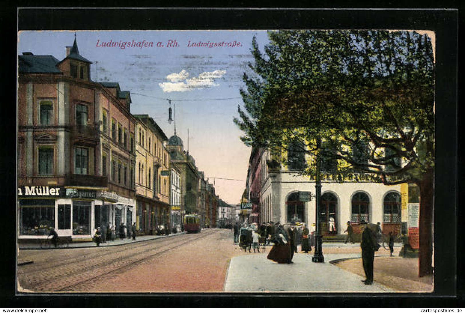 AK Ludwigshafen A. Rh., Blick In Die Ludwigsstrasse, Strassenbahn  - Ludwigshafen