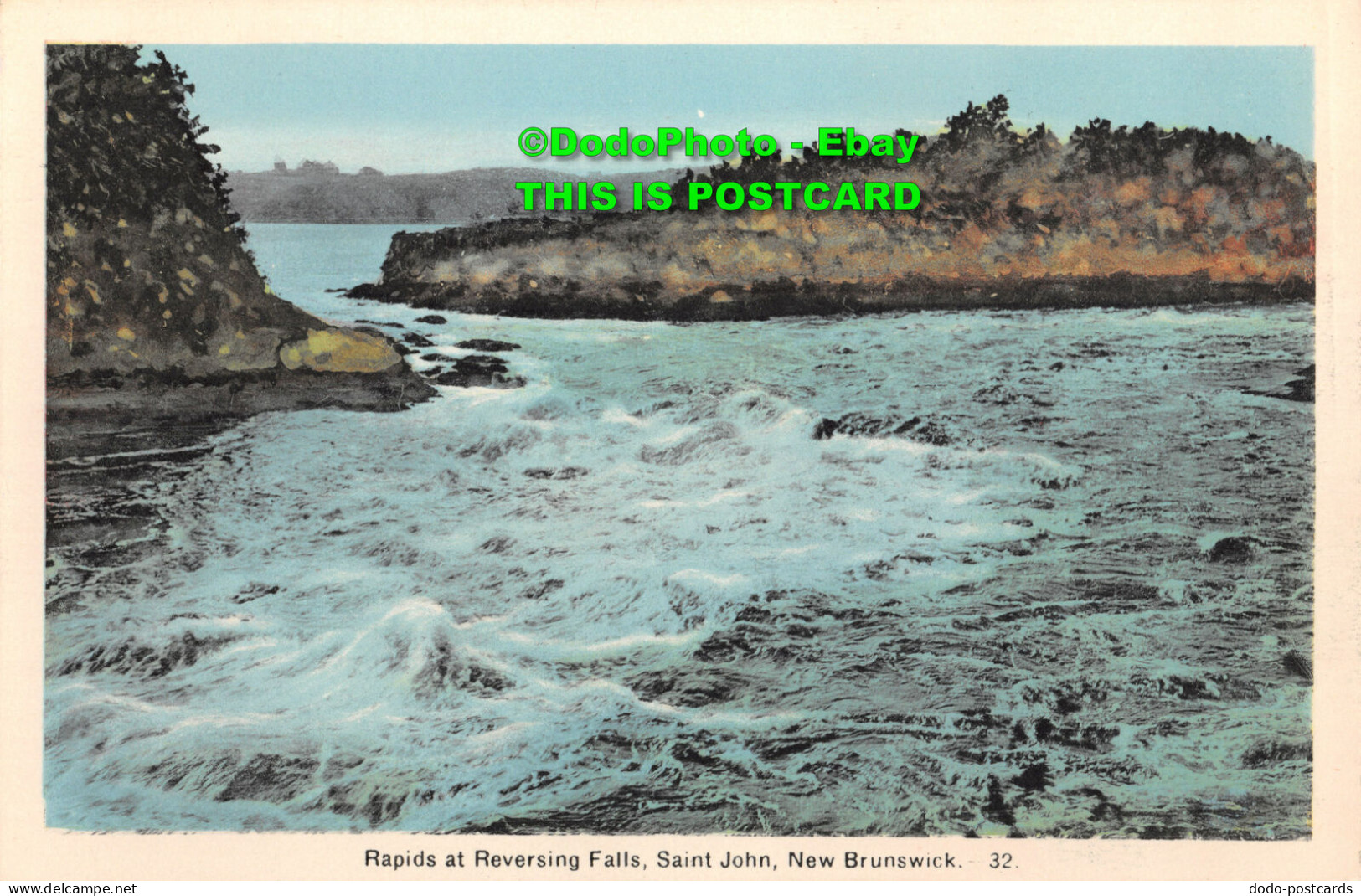 R411186 Rapids At Reversing Falls. Saint John. New Brunswick. 32. Photogelatine - Monde