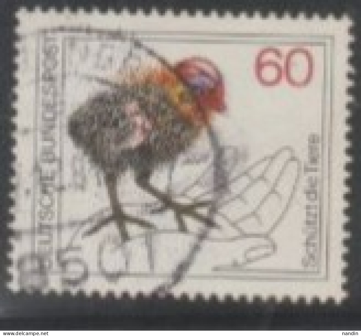 1981 GERMANY  USED STAMPS ON BIRDS/ Protection Of Animals/Fulica Atra-Common Coot - Marine Web-footed Birds