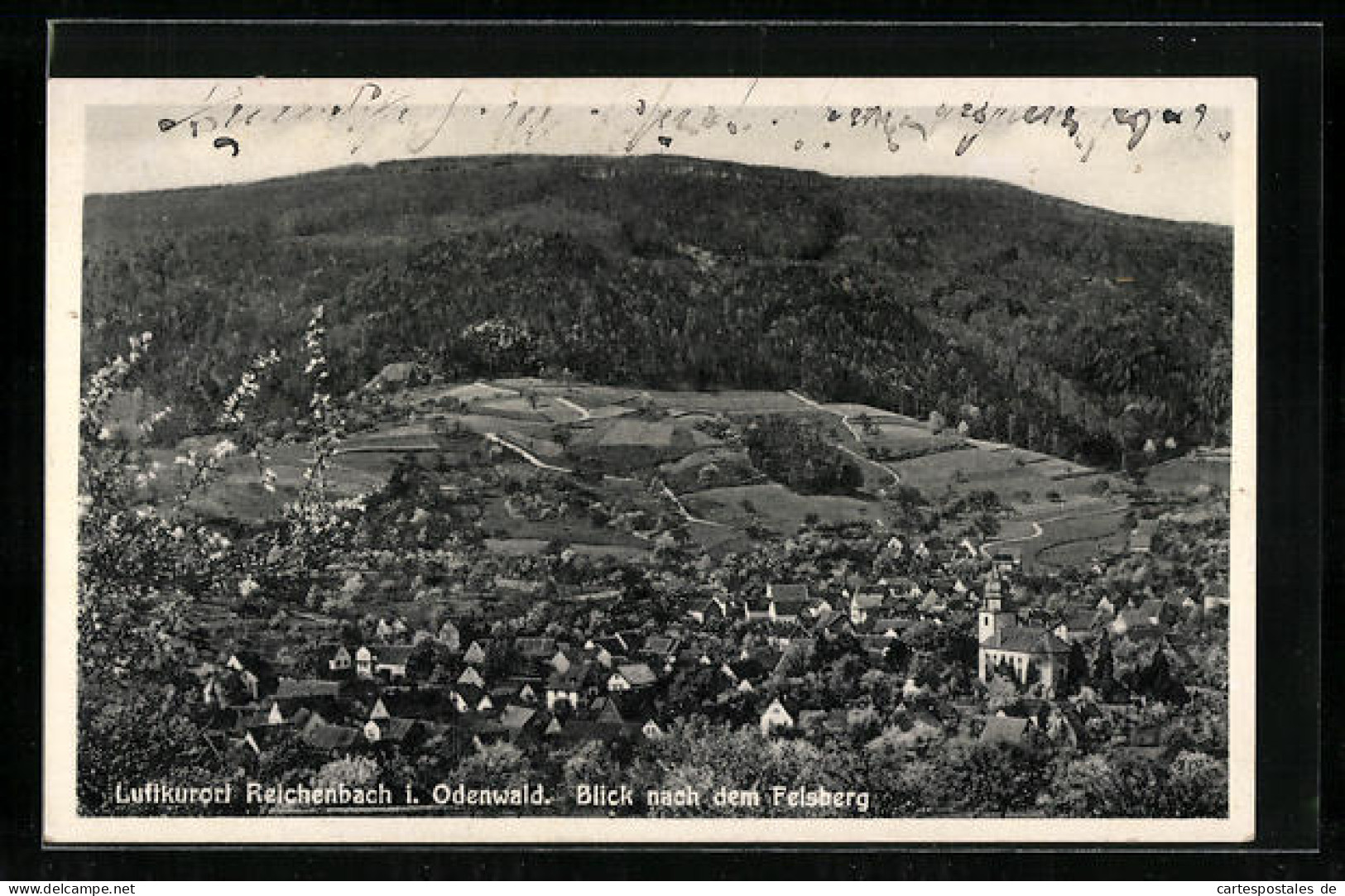 AK Reichenbach I. Odenwald, Blick Zum Felsenberg  - Odenwald