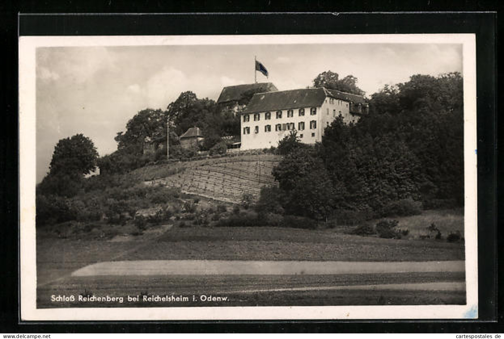 AK Reichelsheim I. Odenw., Schloss Reichenberg  - Andere & Zonder Classificatie