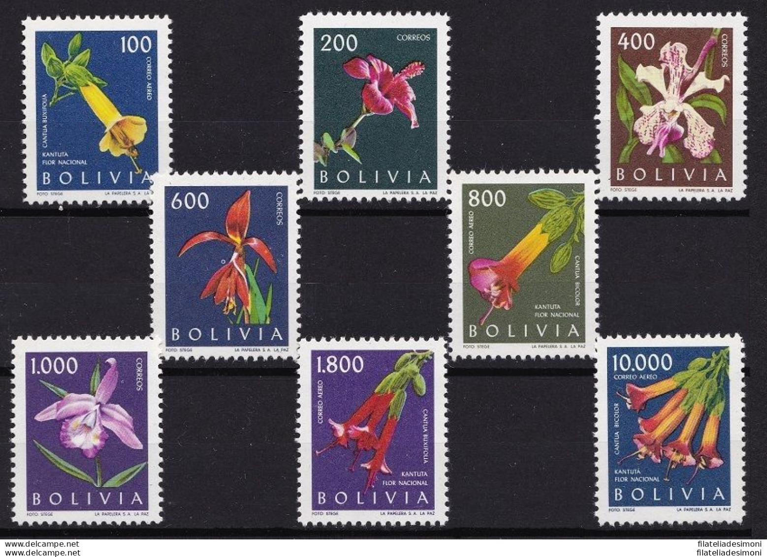 1962 BOLIVIA, Fiori, Flowers, Yvert N° 426/429 + PA  218/221  8 Valori MNH/** - Sonstige - Amerika