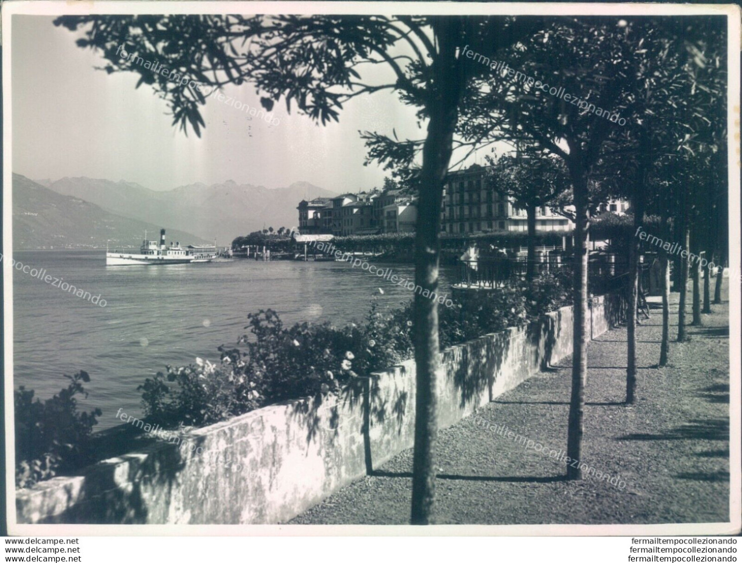 L547  Bozza Fotografica Bellagio  La Passeggiata  Provincia Di Como - Como